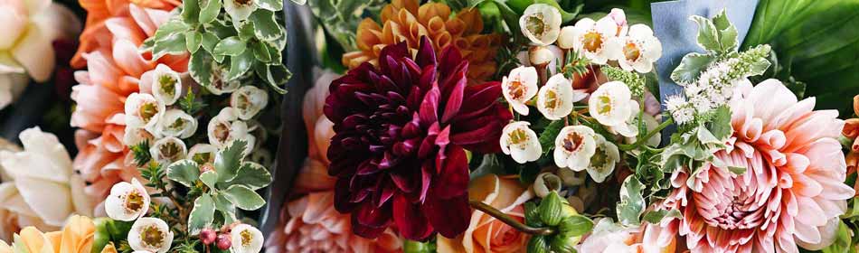 Florists, Floral Arrangements, Bouquets in the Allentown, Lehigh Valley PA area
